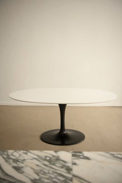 MESA TULIP